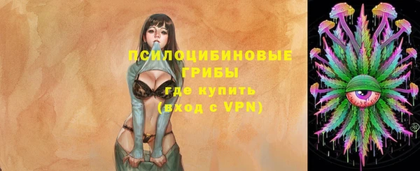 СК Аркадак
